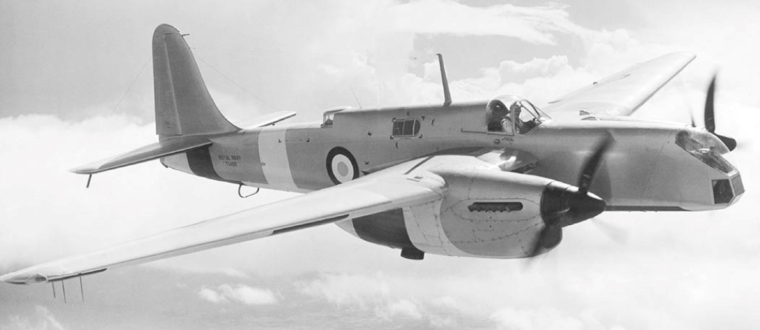 Name:  Short Sturgeon..jpg
Views: 10701
Size:  163.4 KB