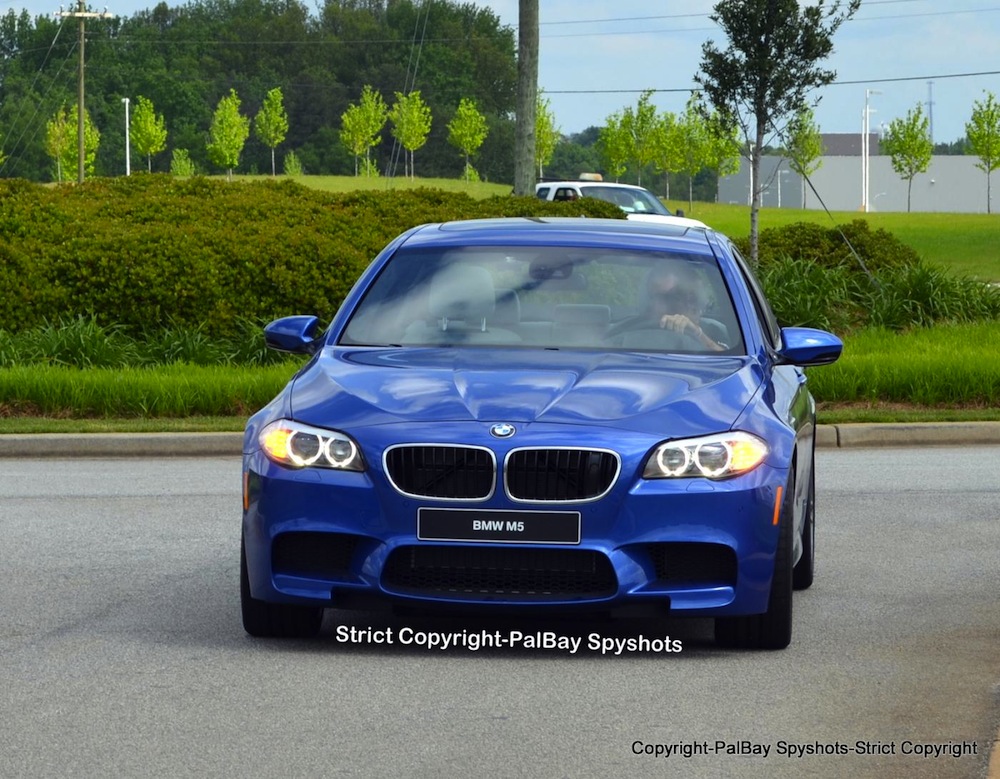 Name:  DSC_7719.jpg
Views: 10364
Size:  267.4 KB