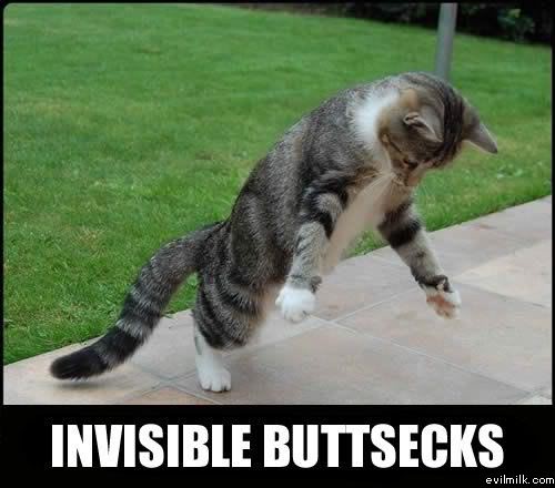 Name:  Invisible_buttsecks.jpg
Views: 23440
Size:  35.0 KB