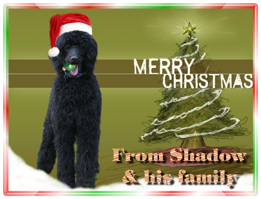 Name:  shadow-christmas-card-3.jpg
Views: 24339
Size:  291.5 KB