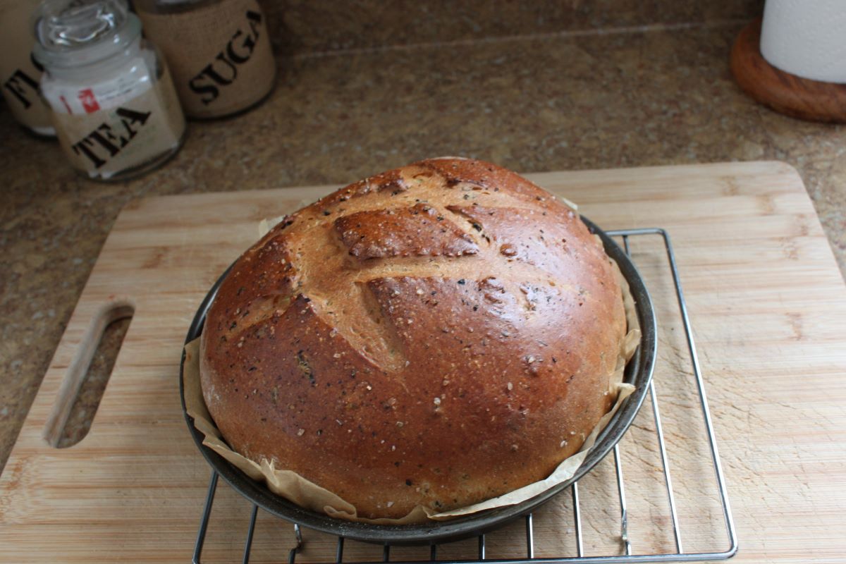 Name:  Olive bread 3.JPG
Views: 2536
Size:  130.0 KB
