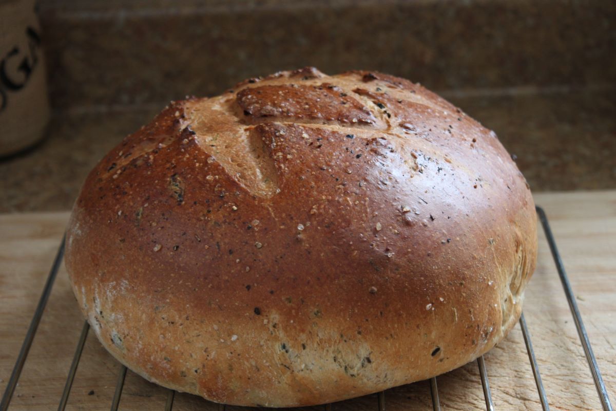 Name:  Olive bread 2.JPG
Views: 2469
Size:  118.8 KB