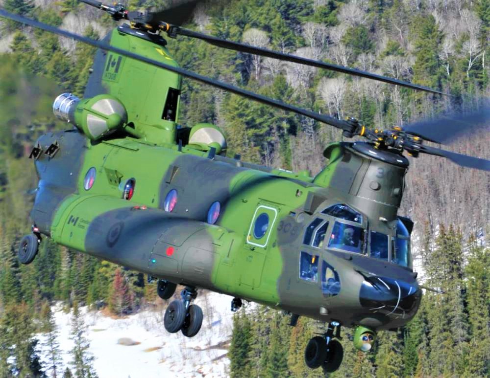 Name:  Chinook..jpg
Views: 756
Size:  226.4 KB