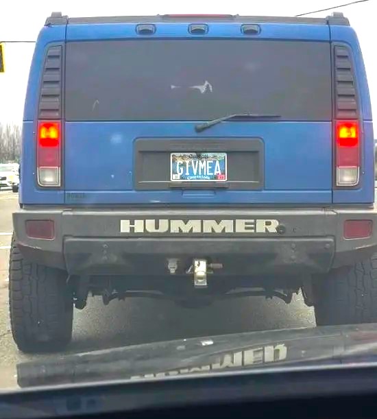 Name:  Hummer..jpg
Views: 489
Size:  54.6 KB