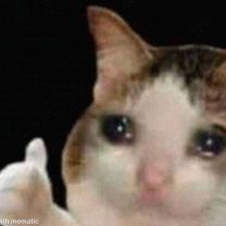 SaltyVeteran's Avatar