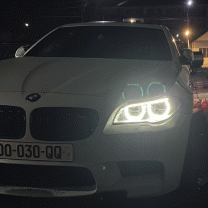 Data OO030QQ's Avatar